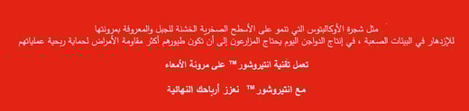 2022-07-17 19_09_29-ENTEROSURE brochureFinaly 7.7.pdf - Adobe Acrobat Pro DC (64-bit)