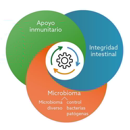 Adobe_multifactorial strategy for zinc oxide replacement_ES
