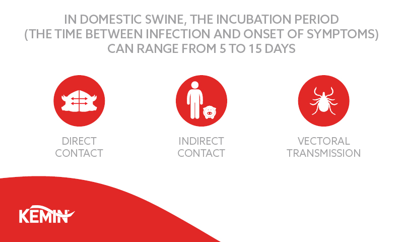 Blog 1_African Swine Fever_Image Incubation Period