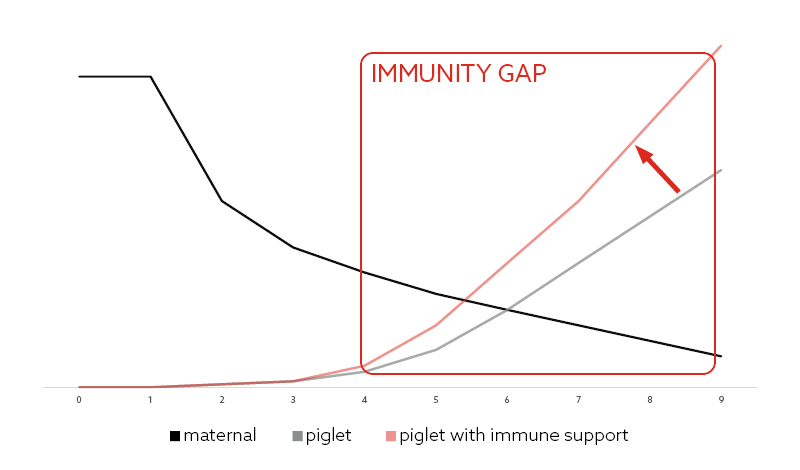 Blog 4_How to reduce piglet mortality_Fig 2