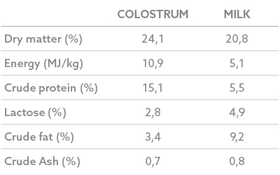 Blog 4_How to reduce piglet mortality_Table 2 Composition of colostrum and milk