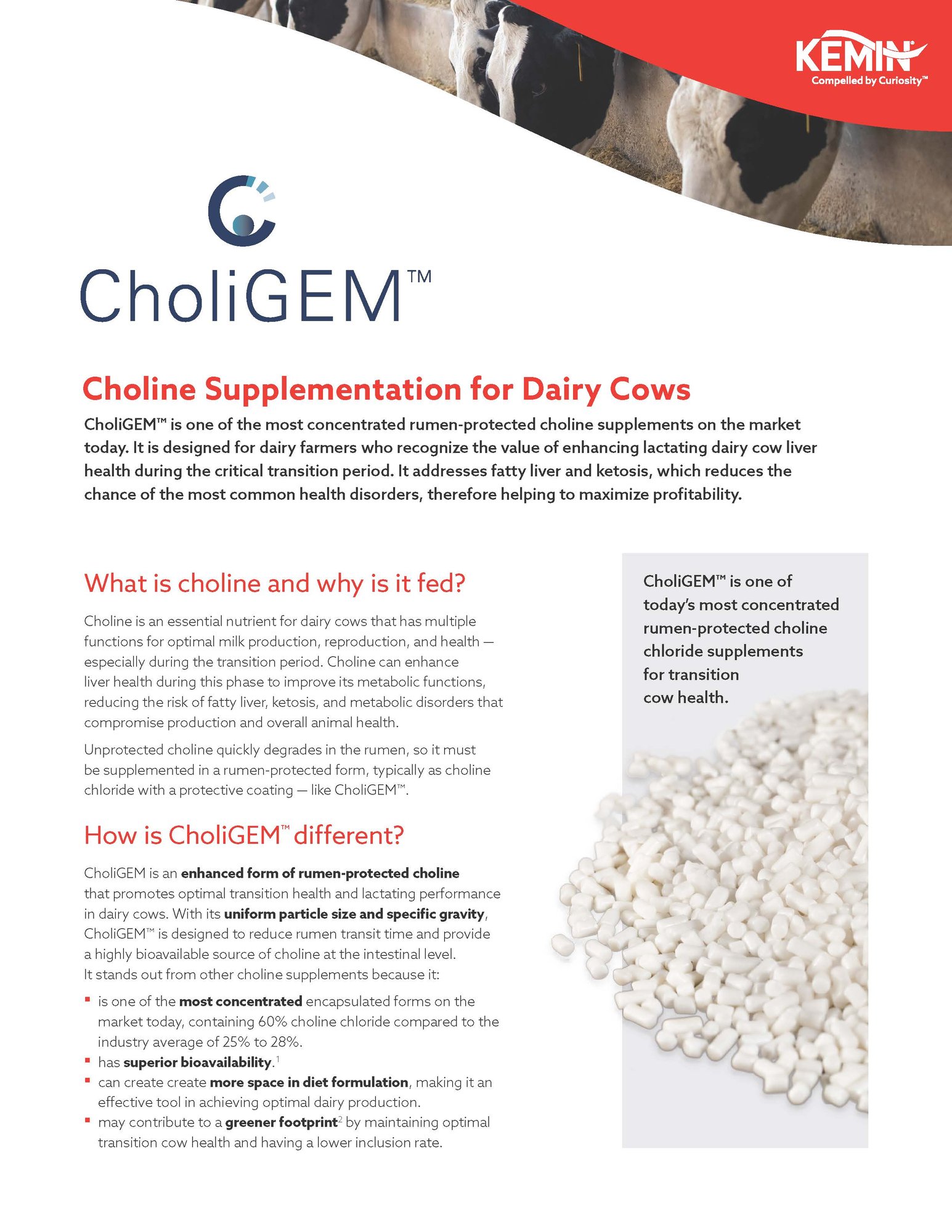 CholiGEM One Pager Thumbnail