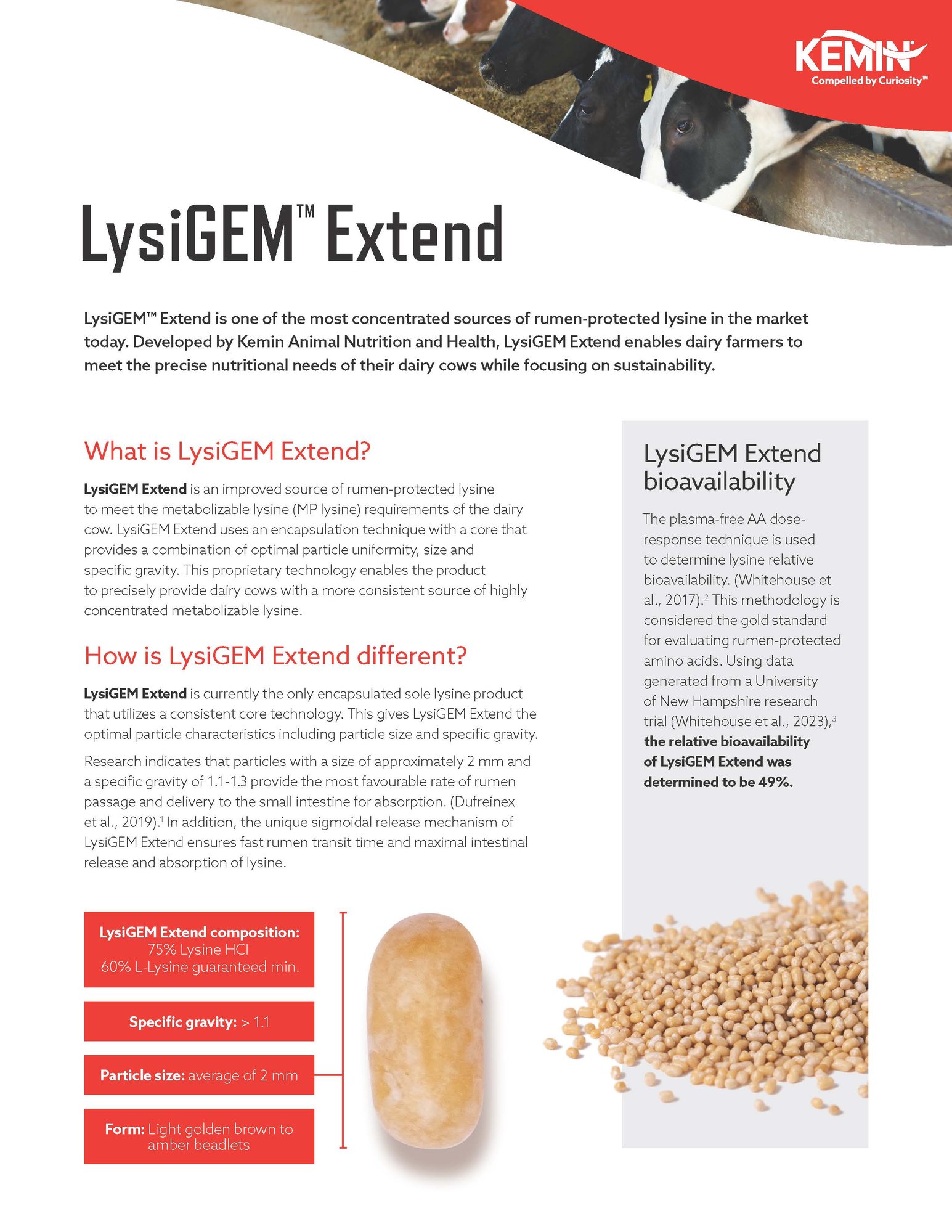 LysiGEM Extend One Pager Thumbnail
