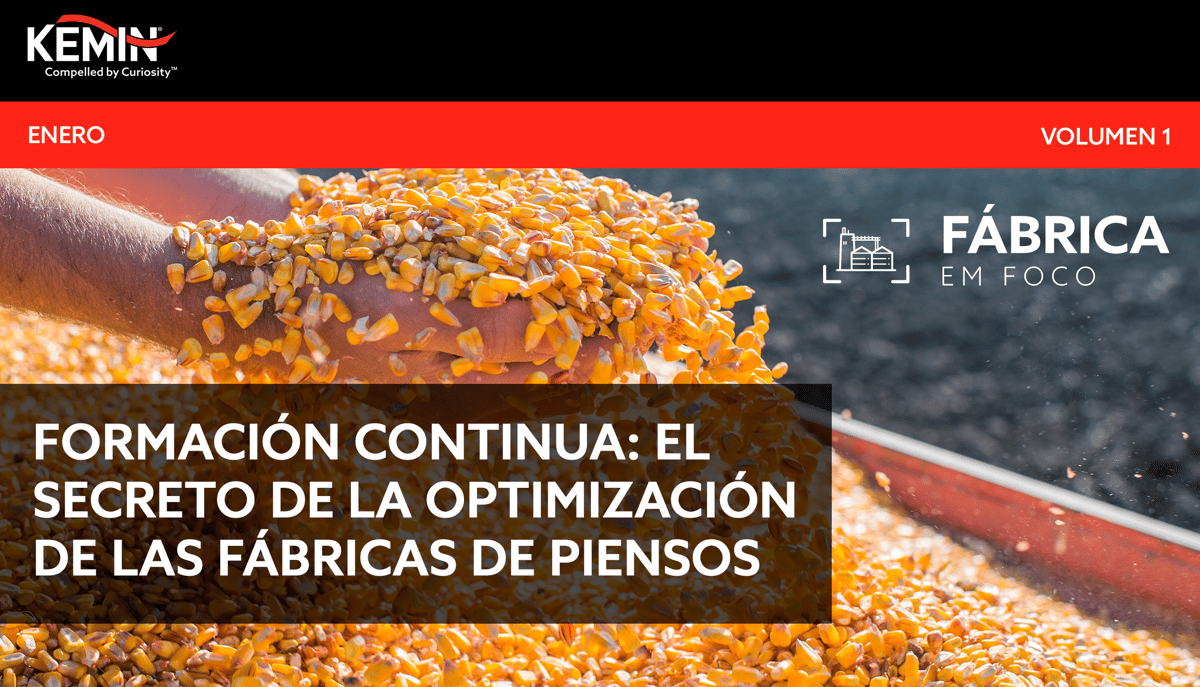 KEMIN