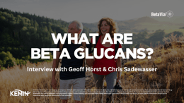 what are beta glucans
