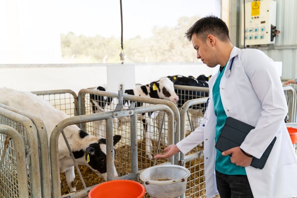 More business for Veterinarians