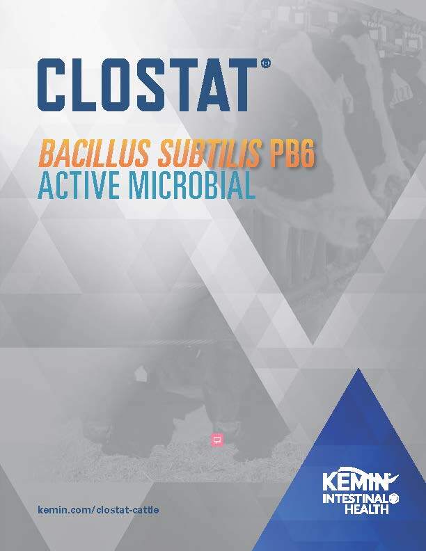 CLOSTAT Ruminant Brochure Thumbnail
