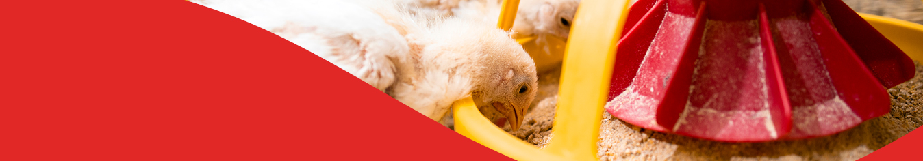 hubspot blog banners_mycotoxins_1348x236px_